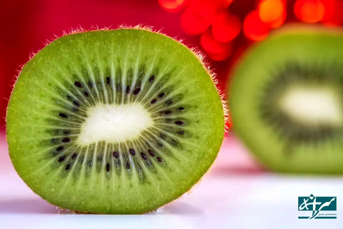 صادرات کیوی از امروز مجاز است