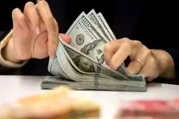 دلار می‌ریزد! رئیس مجمع فعالان اقتصادی: حباب سکه و ارز می‌ترکد! 