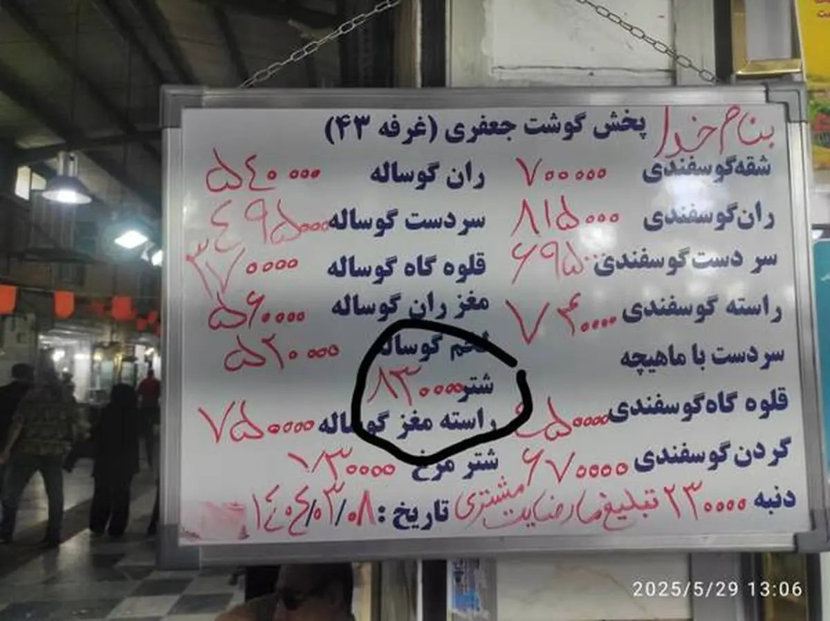 شتر از گوسفند سبقت گرفت!