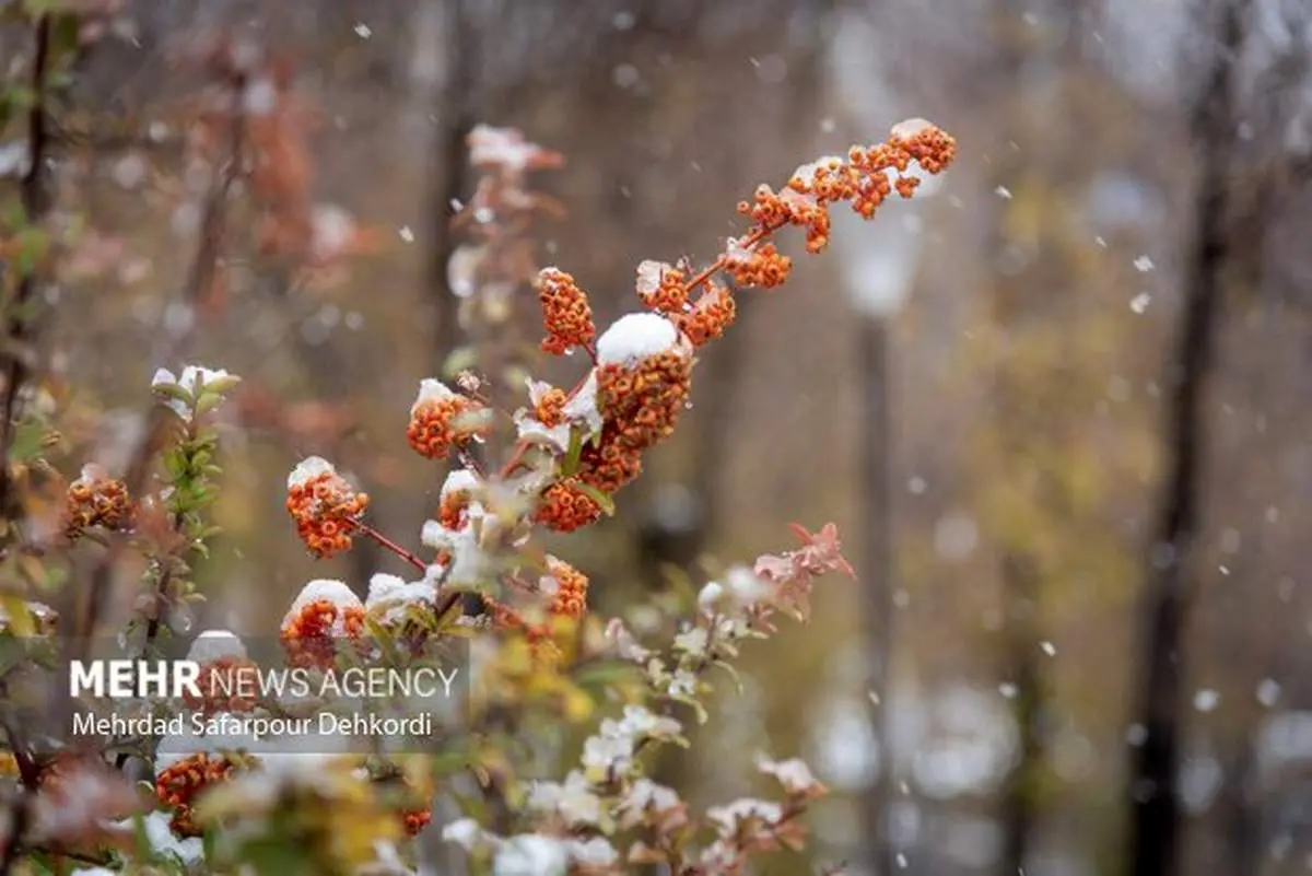 بحران یخبندان در راه است: دما به شدت سقوط میکند!