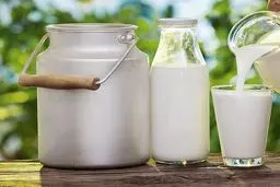 شوک در بازار شیر؛ قیمت ۳۴۹۰۰ تومان زیر ذره‌بین!