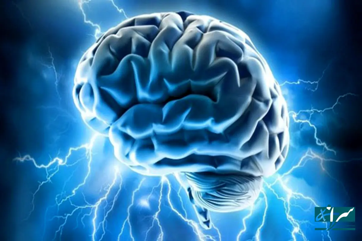 این خوراکی مغز شما را نابود می کند