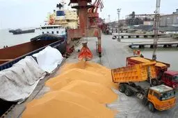 نهاده‌های دامی؛ فساد در واردات، خشم تولیدکنندگان! سازمان بازرسی به داد در آمد!