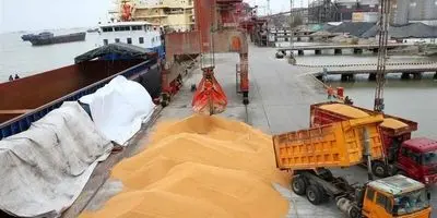 کابوس فساد در وزارت کشاورزی: معاونان به دام بازرسی افتادند!