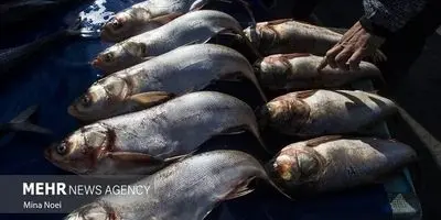 معدن؛ سوپرمن نجات اقتصاد ایران از وابستگی به نفت!