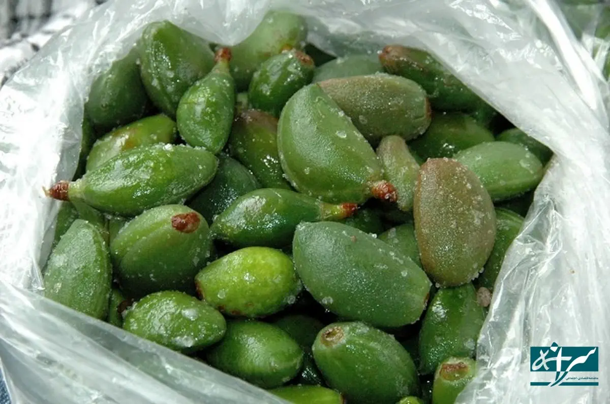 از چاقاله ۴۰۰ هزار تومانی تا پیاز ۴۵ هزار تومانی!