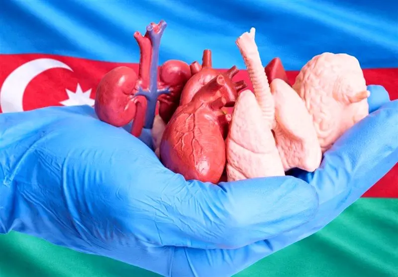 رسوایی پشت پرده آذربایجان: اقدام اضطراری باکو علیه مافیای اعضای بدن!