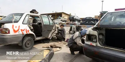 ۱۸۰ تن ذرت حجیم شده در قوچان: فاجعه‌ای پنهان یا معجزه‌ای اقتصادی؟