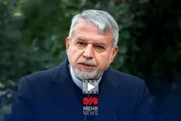 هشدار جدی صالحی امیری: کشتی، آخرین سنگر هویت ۳۰۰۰ ساله ایرانیان!