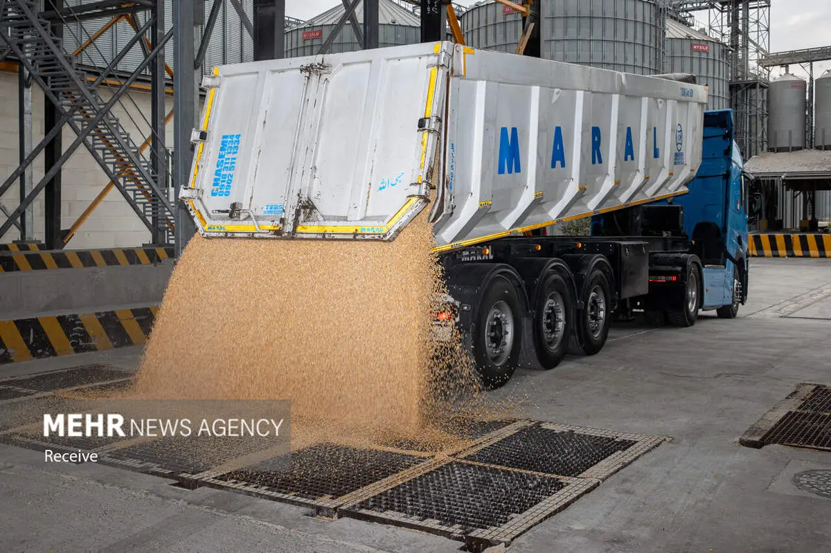 کابوس گرانی در راه است: انبارها پر، دام‌ها در خطر!