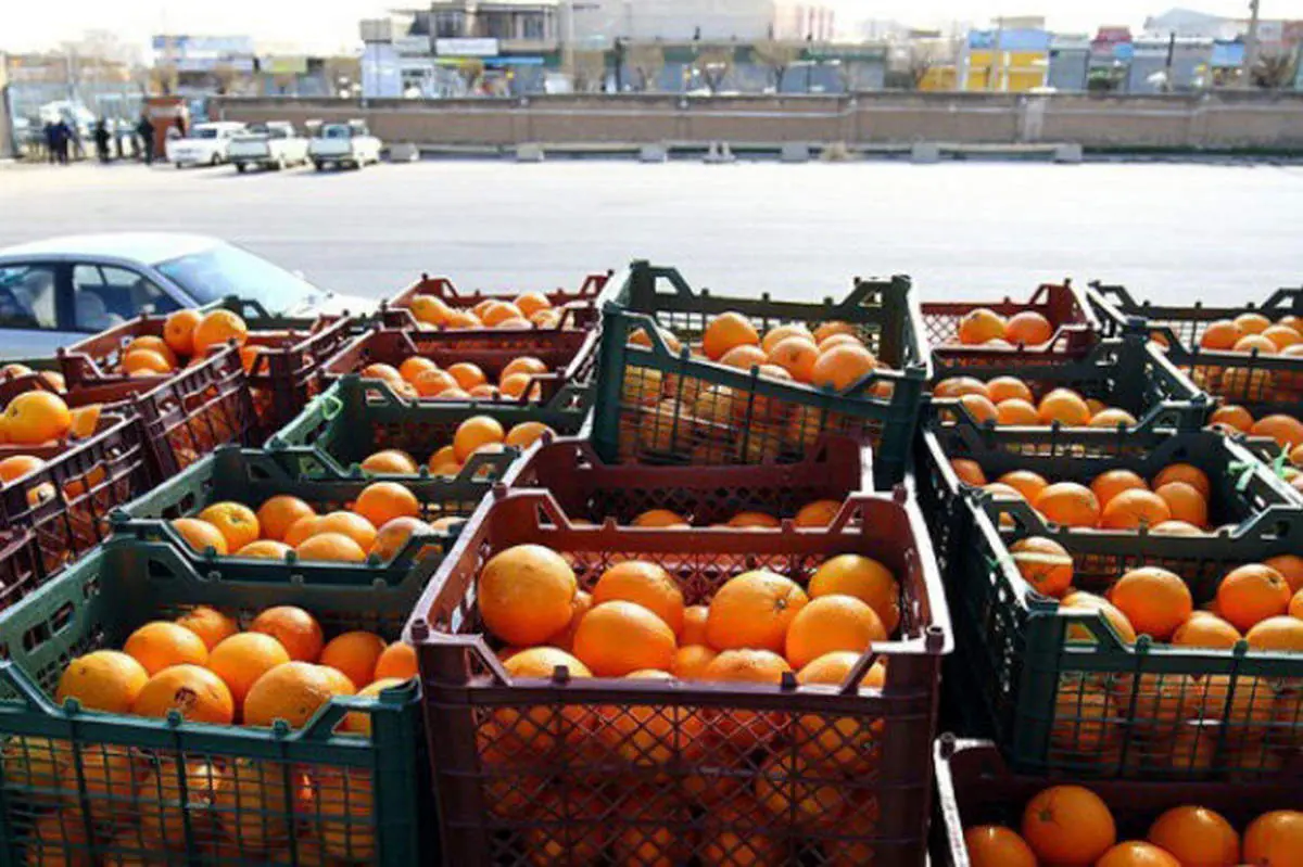 از این تاریخ میوه را ۳۰ درصد ارزانتر بخرید