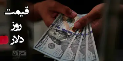 دلار منفجر شد! قیمت ارزها در ۸ آبان ۱۴۰۴ زیر و رو شد