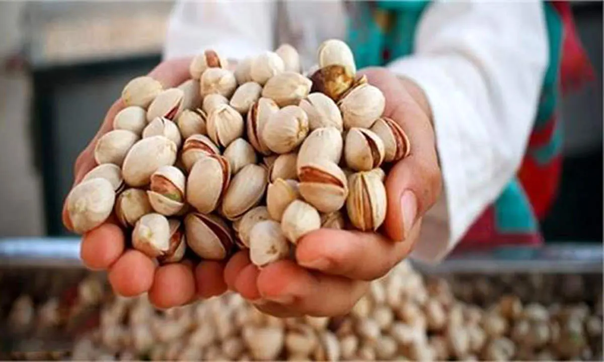 پشت پرده انفجار قیمت آجیل در عید ۱۴۰۳ / پستههایی که در انبار خاک خورد!