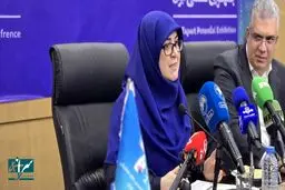 چراغ سبز زیرپوستی برای سرمایه گذاری آمریکا در ایران