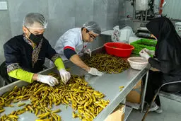 سیل پول به مشاغل خانگی رسید