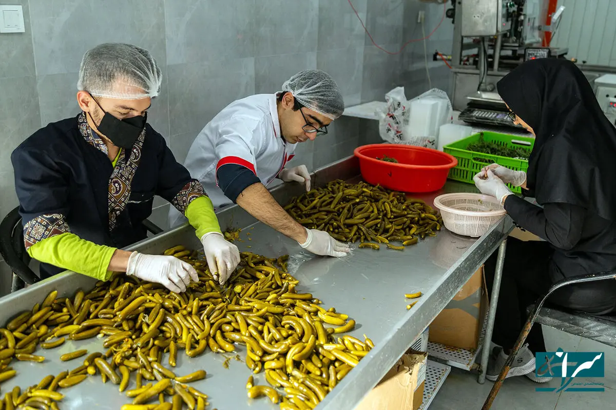 شرایط دریافت وام ۴ میلیارد تومانی ویژه این مشاغل اعلام شد