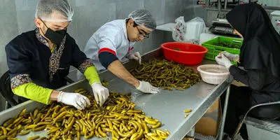 شرایط دریافت وام ۴ میلیارد تومانی ویژه این مشاغل اعلام شد