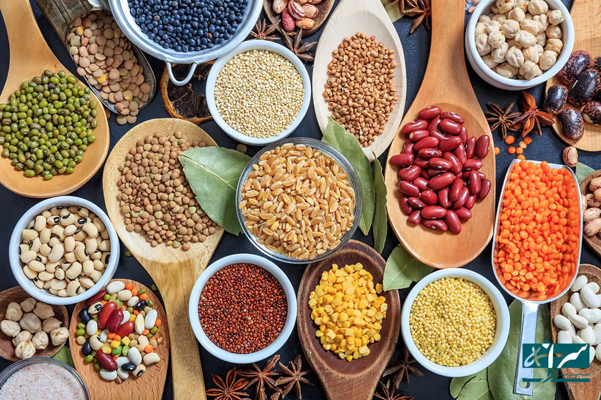 خداحافظ پروتئین ارزان!