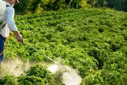 فاجعه سموم در سفره مردم: سامانه هوشمند ملی چقدر تضمین‌کننده است؟