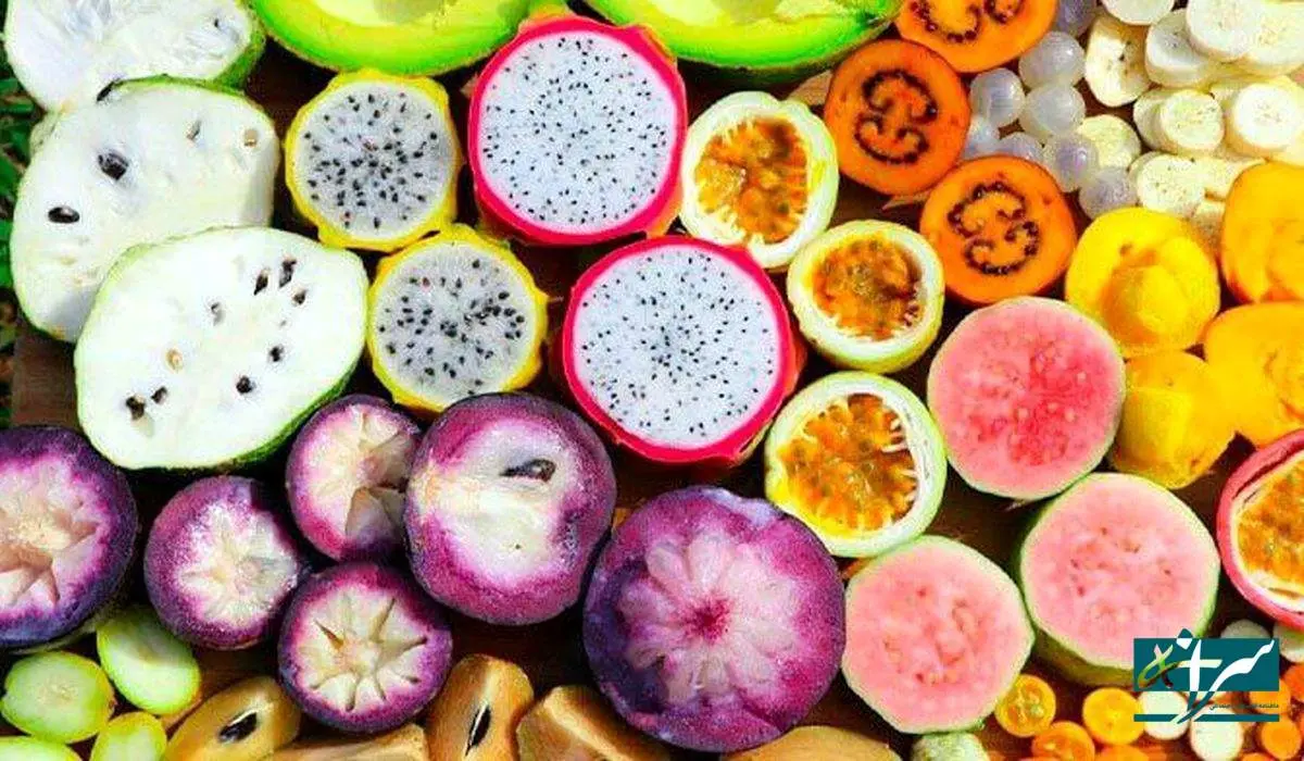 گوش بری با میوه های لاکچری / هر کیلو ۱.۴ میلیون تومان!