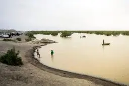 یک خبر مهم از حقابه هامون