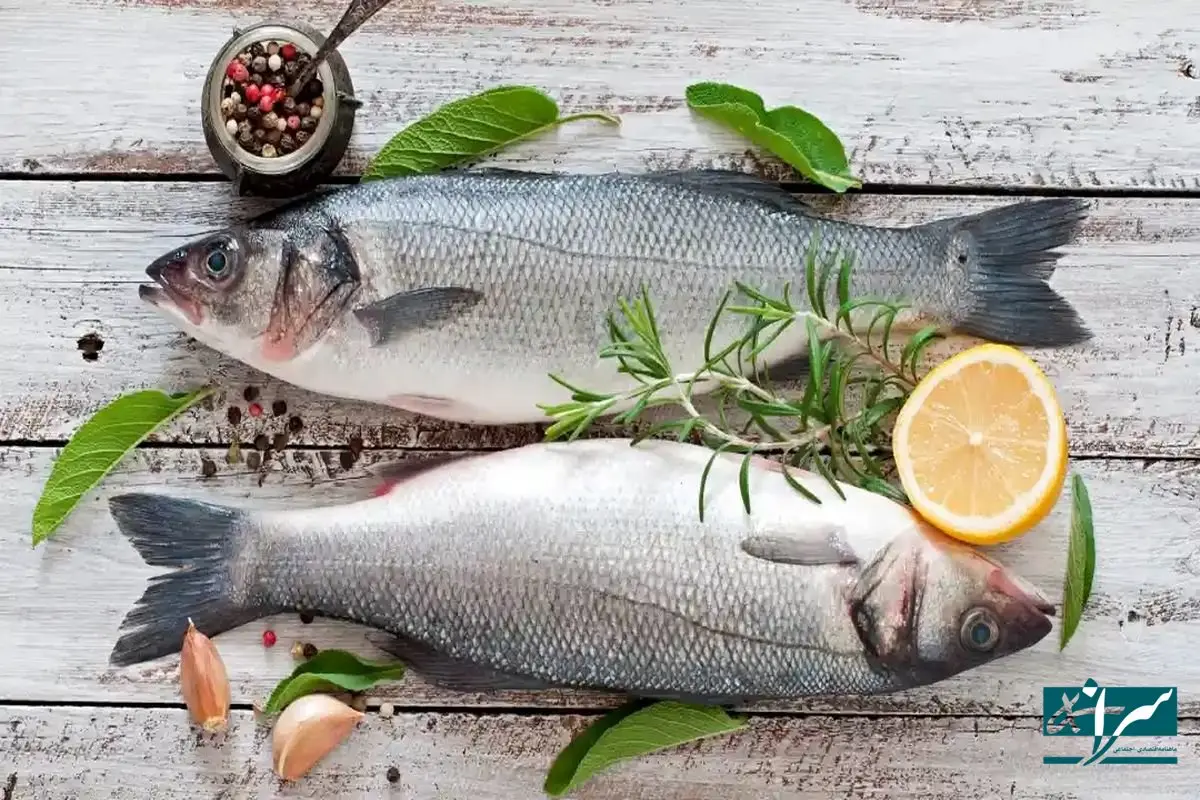 قطع برق، قیمت ماهی را بالا برد