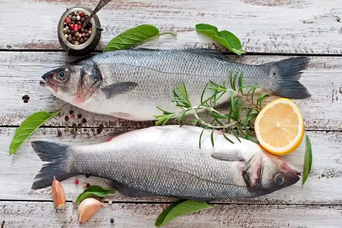 ماهی با قیمت جدید به بازار آمد- ۲۷ بهمن ۱۴۰۳