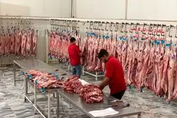 فوری: قیمت گوشت در ۲ دی ۱۴۰۴ سر به فلک کشید؛ جیب مردم خالی شد!