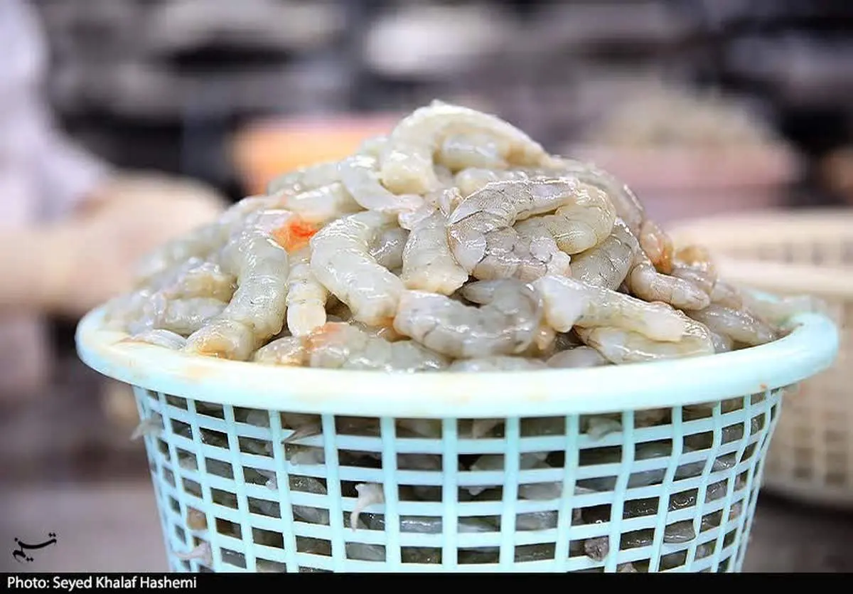 شوک ارزی به سفره خارجی‌ها؛ 700 میلیون دلار ماهی به جیب کی رفت؟