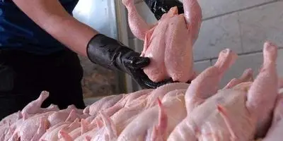 قیمت گوشت امروز منفجر شد! ۱۱ آبان ۱۴۰۴: چه خبر است؟