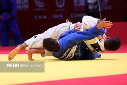 رسوایی در آزادی: ۲۰۰۰ متر زمین ورزشی به نام فدراسیون جودو!