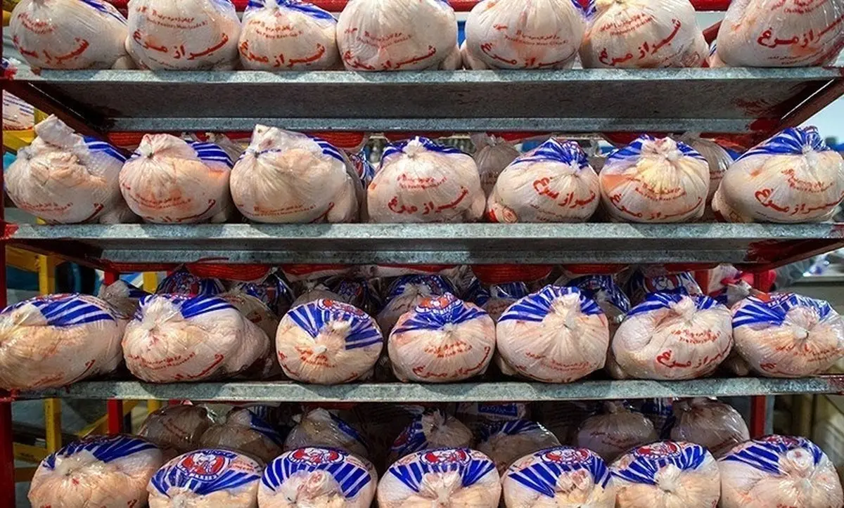 ۲ دی ۱۴۰۴: بحران قیمت مرغ؛ جیب مردم زیر تیغ گرانی!