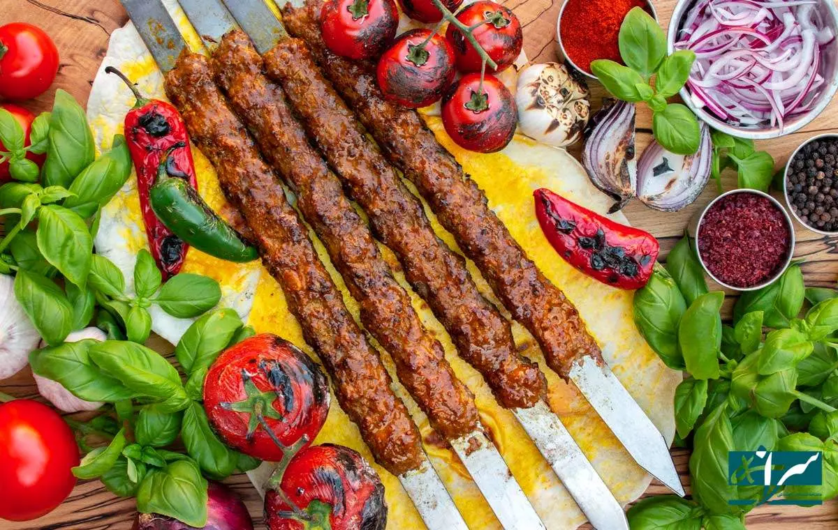 کباب ۱۰۰ تومانی سم خالص است / قیمت منطقی یک سیخ چند؟