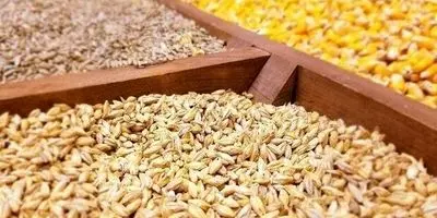 فراخوان معاونین جهادکشاورزی به بازرسی/ ۱۲ سوال از متولیان نهاده/ افشای تخلف شرکتهای توزیعکننده: احتکار یا فروش صوری؟