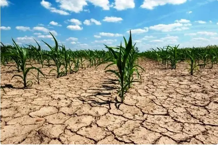 ایران در آستانه خشکسالی فراگیر