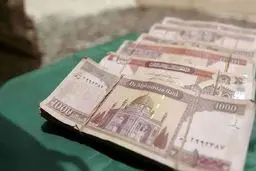 طوفان قیمت افغانی: خیز بلند ارز در بازار ایران!