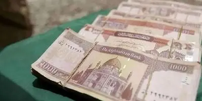 مرغ امروز ۲۰ آبان ۱۴۰۴: شوک قیمتی در بازار!