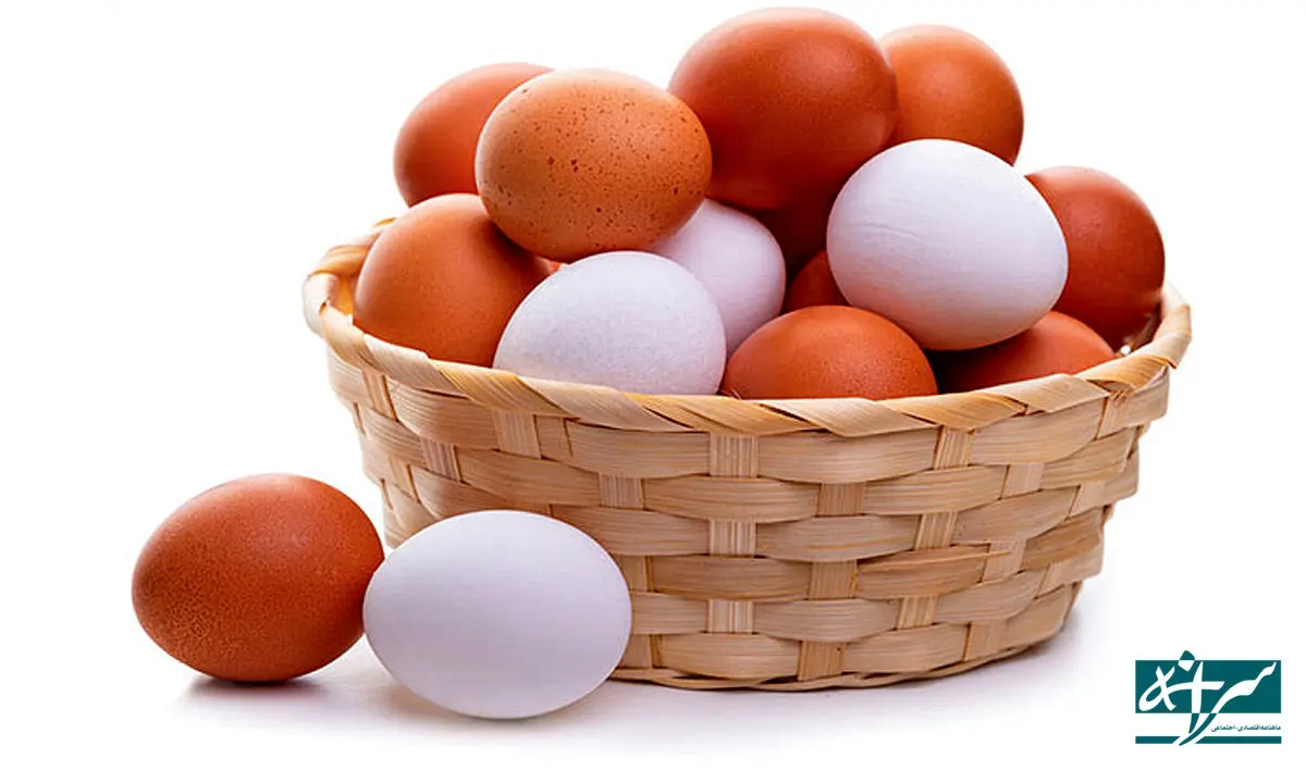 تخم‌مرغ زیر تیغ ضرر!