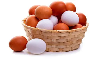 خبر خوش برای ماه رمضان / فدراسیون طیور رسما اعلام کرد تخم‌مرغ گران نمی‌شود!