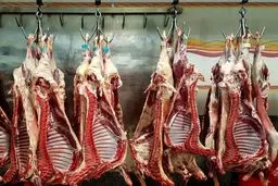 شوکه کننده: قیمت گوشت امروز ۸ آبان ۱۴۰۴ منفجر شد!