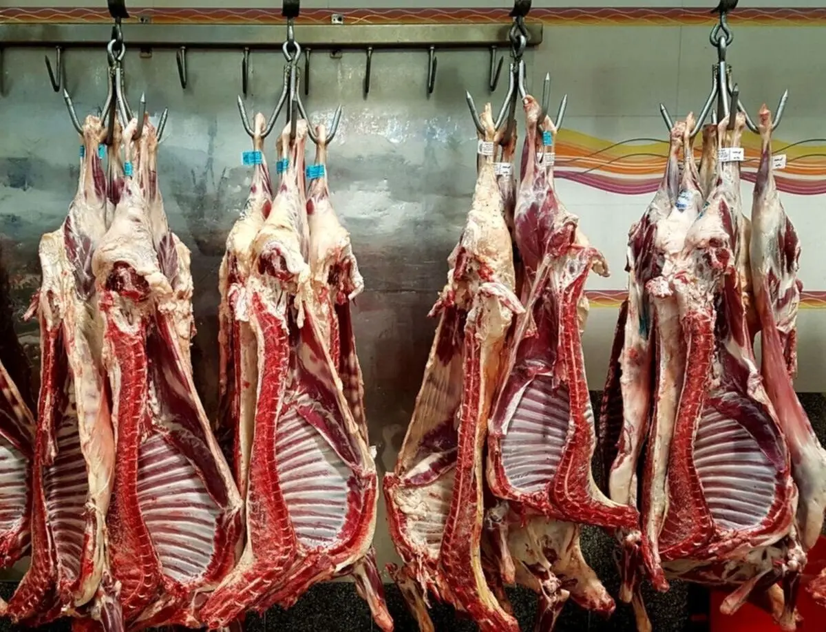 شوکه کننده: قیمت گوشت امروز ۸ آبان ۱۴۰۴ منفجر شد!