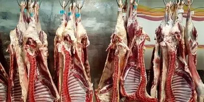 کشف شوکه‌کننده: چرا گوشت ارزان شد ولی کسی نخرید؟