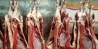 شوکه کننده! قیمت گوشت امروز ۱۳ آذر ۱۴۰۴: آیا باور می‌کنید؟