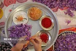 پالایشگاه گیاهان دارویی: معجزه اقتصادی یا خواب آشفته؟