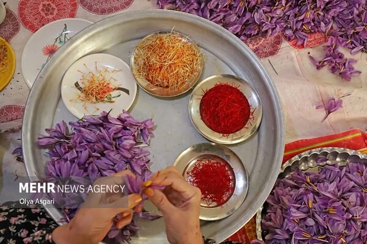 پالایشگاه گیاهان دارویی: معجزه اقتصادی یا خواب آشفته؟