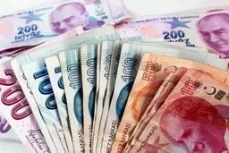 فاجعه تورم در ترکیه: نرخ تورم نوامبر ۳۱ درصد را رد کرد! 