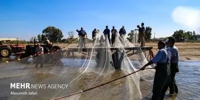 بندهای ماهیگیری فروخته شد: پایان خصوصی‌سازی یا آغاز فساد؟