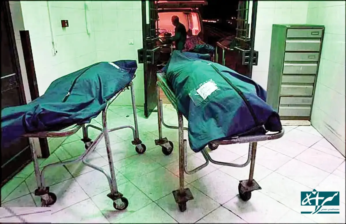 مرگ ۴ نفر به خاطر یک گوسفند