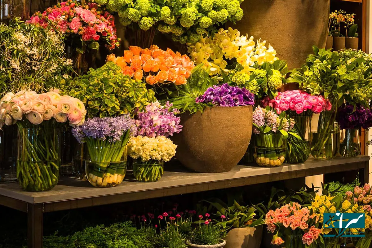 قیمت هدیه محبوب خانم‌ها سر به فلک کشید