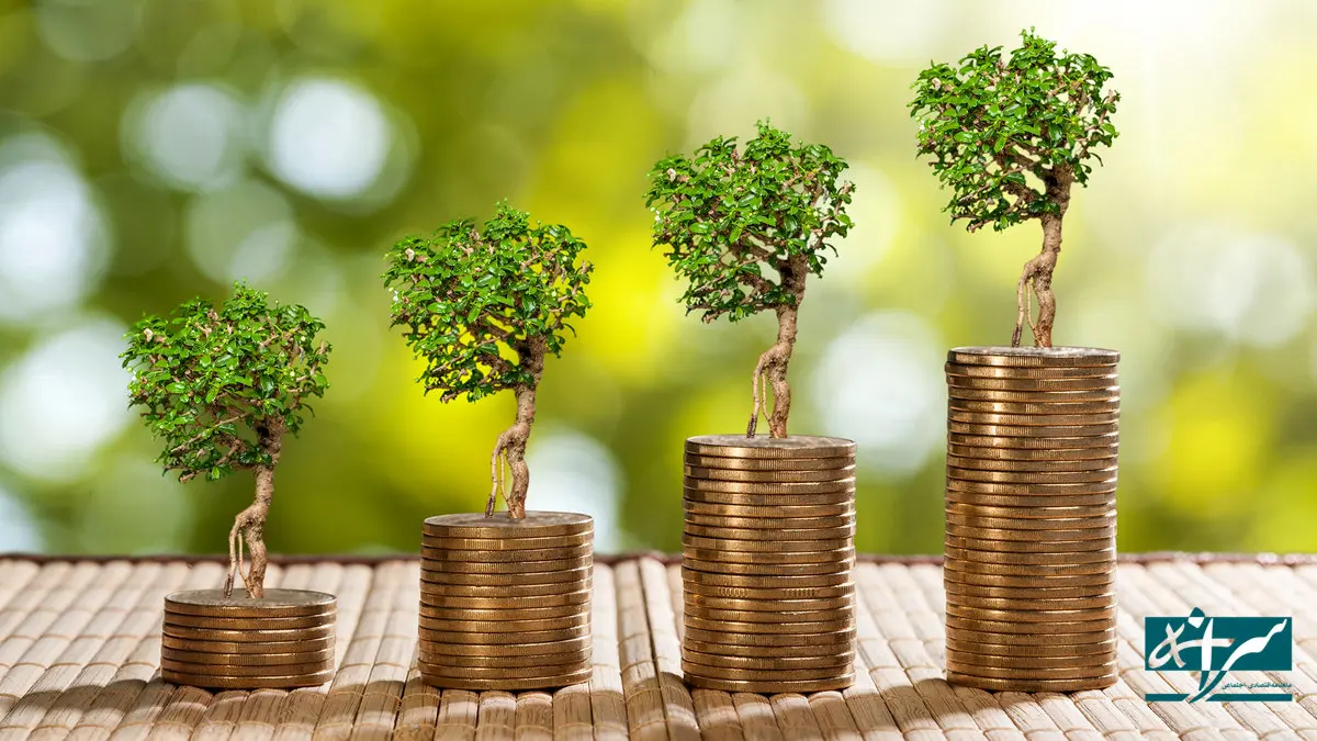 بررسی ۳ گزینه داغ برای سرمایه‌گذاری در سال ۱۴۰۴